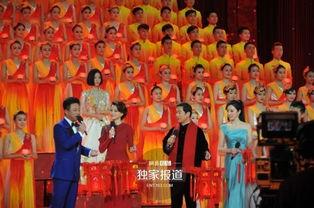 春晚彩排爆料视频下载安装,下载安装过程全记录 第1张 春晚彩排爆料视频下载安装,下载安装过程全记录 第1张