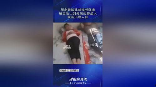 爆料缅北诈骗视频,视频曝光惊人内幕 第3张 爆料缅北诈骗视频,视频曝光惊人内幕 第3张